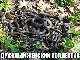 Отказать или подчиниться? - скачанные файлы.jpg