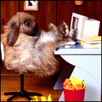 Аватарки. Наши интернет-лица-2 - 153-1.jpg