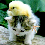 Аватарки. Наши интернет-лица-2 - 178-1.jpg