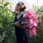 Аватарки. Наши интернет-лица-2 - YBPSjpg_4199083_17999912.jpg