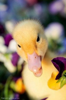 Аватарки. Наши интернет-лица-2 - uKrQYAkzORE.jpg