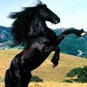 Аватарки. Наши интернет-лица - 52fc97a67aa9.jpg