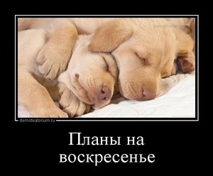 А у вас сейчас какое настроение? - Голд.jpg