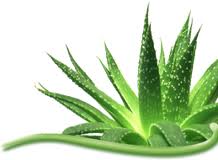 Аватарки. Наши интернет-лица - index.jpeg