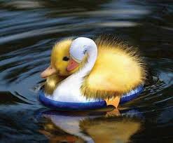 А у вас сейчас какое настроение? - images-3.jpeg