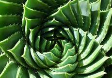 Аватарки. Наши интернет-лица - index11.jpeg