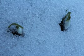 А у вас сейчас какое настроение? - image.jpeg