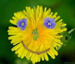 А у вас сейчас какое настроение? - images-6.jpeg