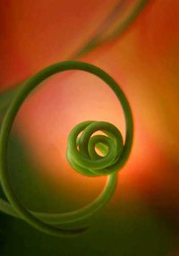 Из ВКонтактика с приветиком  - SlCkKIQv6Es.jpeg