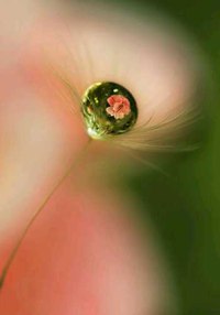 Из ВКонтактика с приветиком  - EHYYAddJ160.jpeg