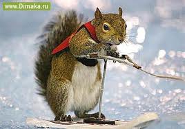 Аватарки. Наши интернет-лица - images.jpeg