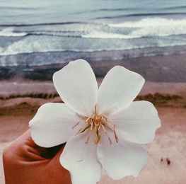 Аватарки. Наши интернет-лица-2 - ава3.jpg