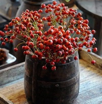 Аватарки. Наши интернет-лица-2 - oOgf0knUDjs.jpg