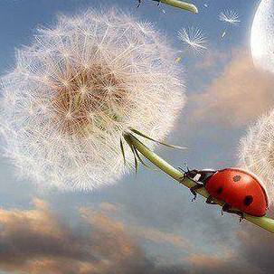 Аватарки. Наши интернет-лица-2 - 11.jpg