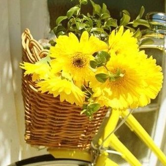 Аватарки. Наши интернет-лица-2 - 7.jpg