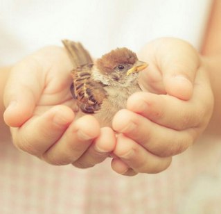 Аватарки. Наши интернет-лица-2 - 11.jpg