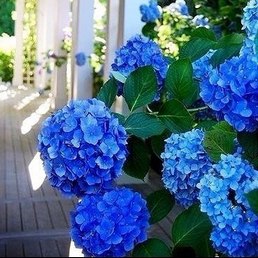 Аватарки. Наши интернет-лица-2 - ава5.jpg