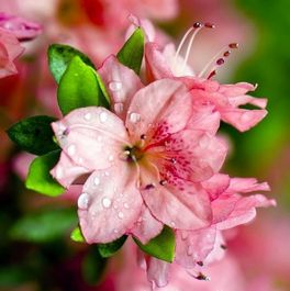 Аватарки. Наши интернет-лица-2 - 17.jpg