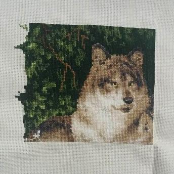 стало - 213.jpg