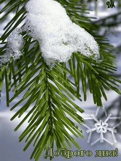 Доброго утра Хорошего дня Спокойной ночи  - image.jpg