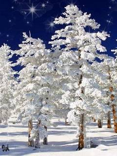 Доброго утра Хорошего дня Спокойной ночи  - image.jpg