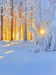 Доброго утра Хорошего дня Спокойной ночи - image.jpg