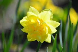 Доброго утра Хорошего дня Спокойной ночи - image.jpg