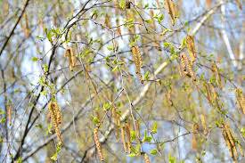 Доброго утра Хорошего дня Спокойной ночи  - image.jpg