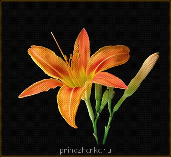 Цветы. Схемы вышивки - kanva.jpg