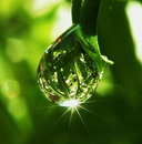 Аватарки. Наши интернет-лица - 0_19f5a_27175dce_XL.jpg