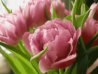 Цветы. Схемы вышивки - kanva (2).jpg