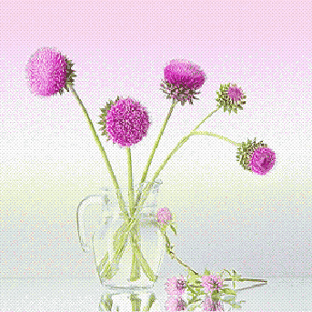 Цветы. Схемы вышивки - kanva.jpg