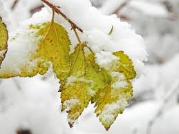 Доброго утра Хорошего дня Спокойной ночи  - Без названия (2).jpg