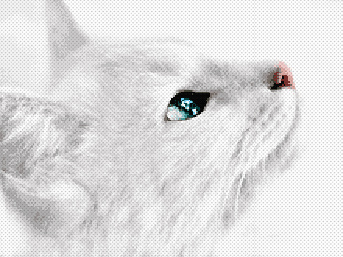 Схемы вышивок Люди, животные, птицы, насекомые  - kanva.jpg