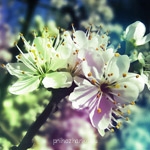 Аватарки. Наши интернет-лица - 524718587.jpg