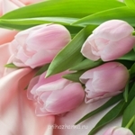 Аватарки. Наши интернет-лица - a5389f8e511b.jpg