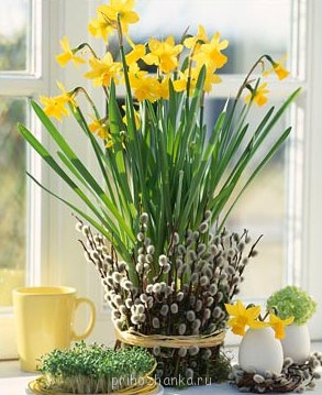 Идеи к Пасхе Как украсить праздник. - 6bbbc665ced1.jpg