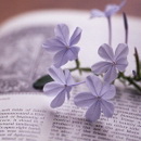 Аватарки. Наши интернет-лица - av-5661.jpg