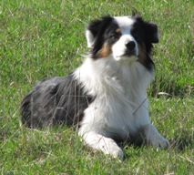 Кого из животных вы содержите? Фото приветствуется. - Копия IMG_2421.jpg