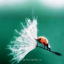 Аватарки. Наши интернет-лица - otumblr_lyx5m0EgYH1qjfmjpg.jpg