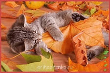 Аватарки. Наши интернет-лица - i.jpg