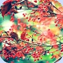 Аватарки. Наши интернет-лица - прихожанка-4.jpg