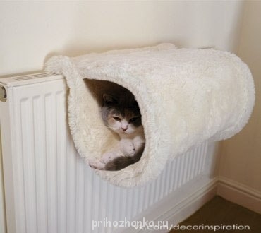 Корзиночки, лоточки, когтеточки , поводочки.. - XTC1FZZYp2g.jpg