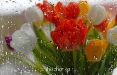 Аватарки. Наши интернет-лица - i (4).jpg