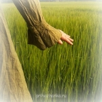 Аватарки. Наши интернет-лица - x_792e2a9b.jpg