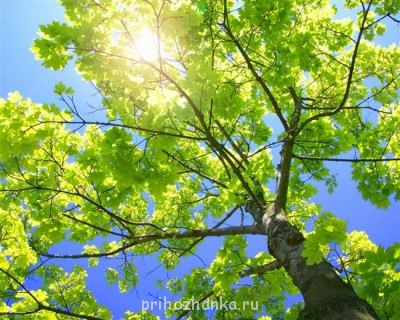 или смотреть на небо, лежа на траве