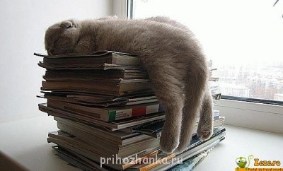 Кажется так я живу уже неделю или месяц,