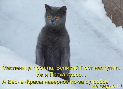 Поговорим о погоде - dtcyf.jpeg