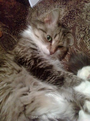 Кого из животных вы содержите? Фото приветствуется. - фото1 097.jpg