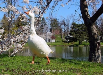 Аватарки. Наши интернет-лица - MFIWPOwwvTc.jpg